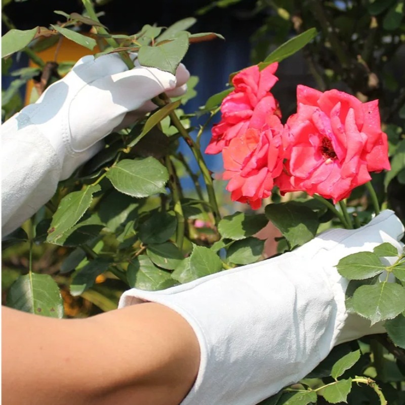 Um Par de Luvas de Jardim Impe - Gardening Glove Waterproof avaliação e preço